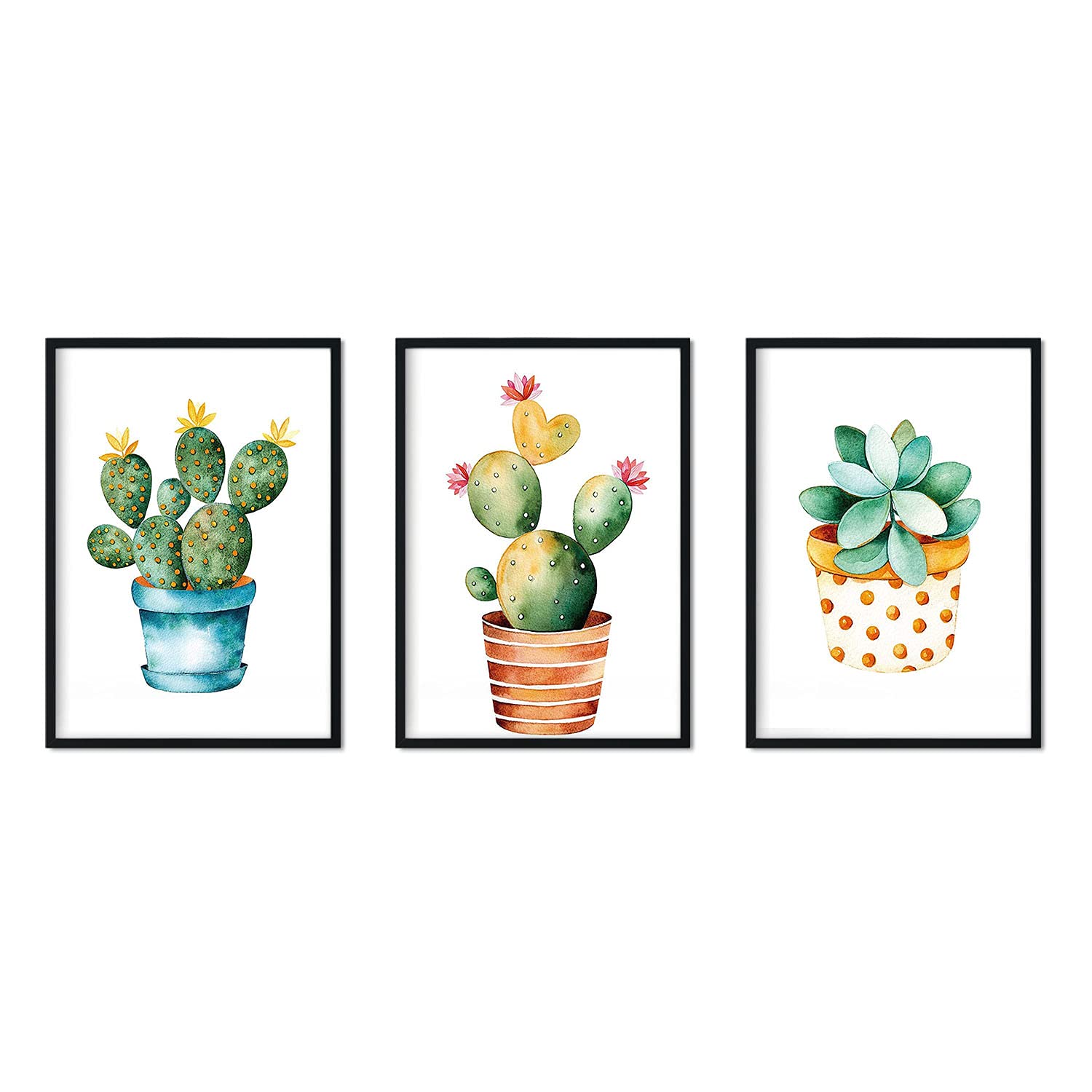 Poster de cactus dibujado. Lámina de Espinas de color – Nacnic