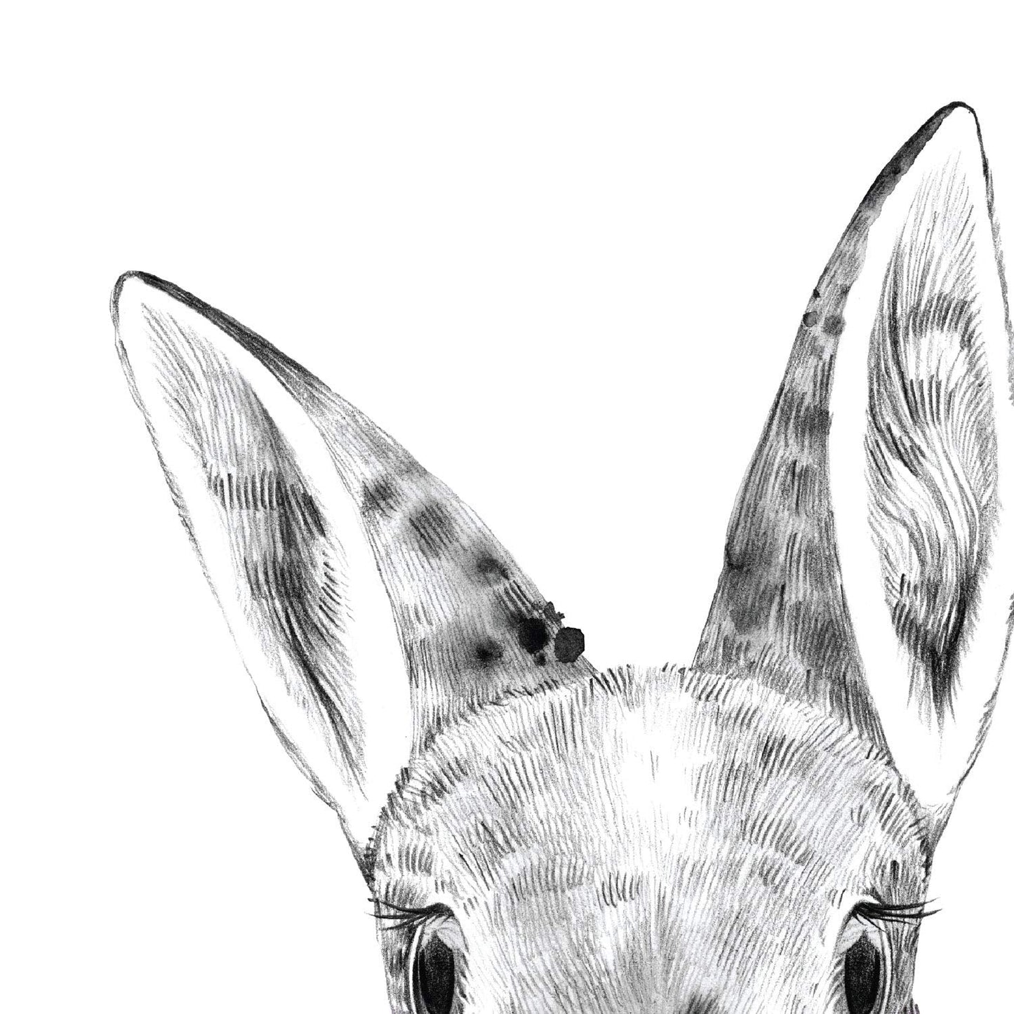 Set 6 posters animales bebes con chicle. Conejo Vaca Zorro Caballo Oso Llama.-Artwork-Nacnic-Nacnic Estudio SL