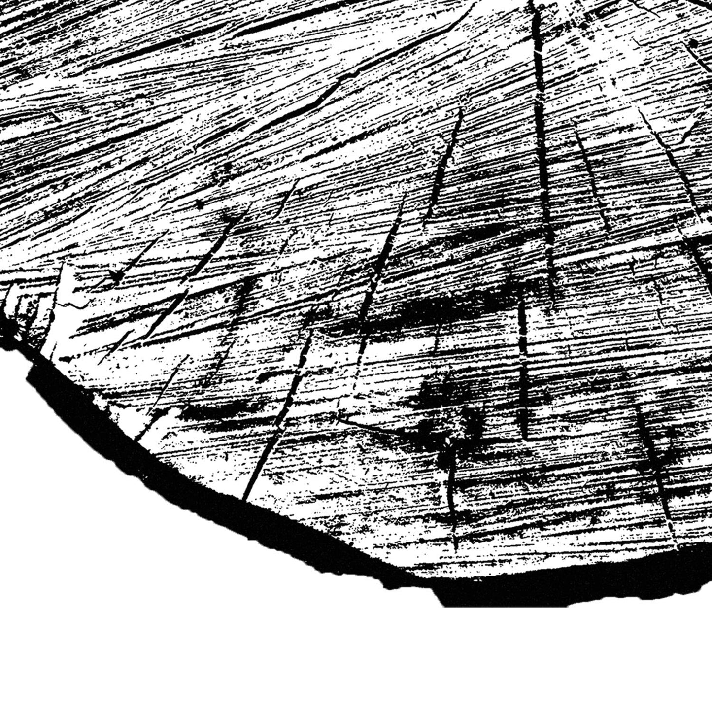 Set de 3 láminas Tocón de Madera. Posters de la naturaleza, Arboles y Hojas en blanco y negro. , .-Artwork-Nacnic-Nacnic Estudio SL