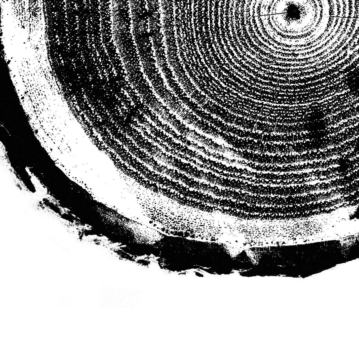 Set de 3 láminas Tocón de Madera. Posters de la naturaleza, Arboles y Hojas en blanco y negro. , .-Artwork-Nacnic-Nacnic Estudio SL