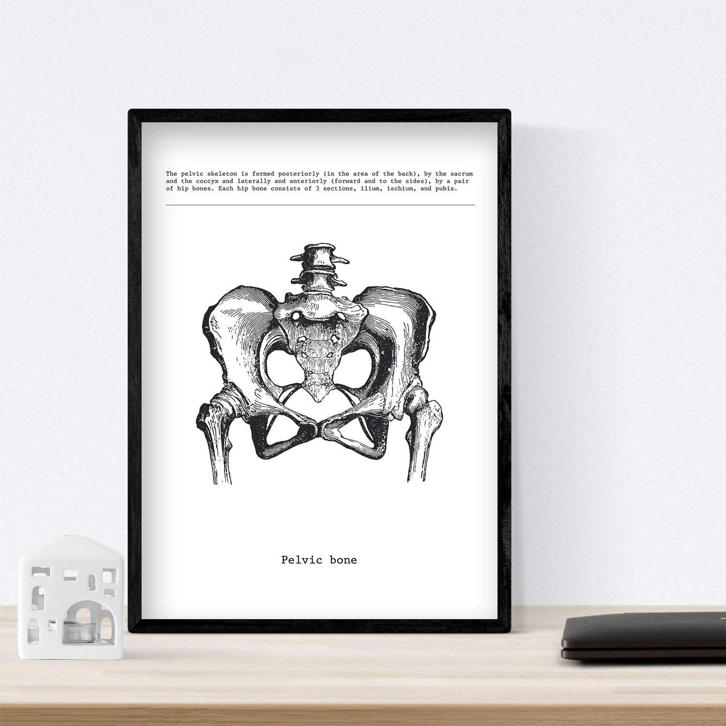 Set de 3 posters de anatomía en blanco y negro con imágenes del cuerpo humano. Pack de láminas sobre biología con "Costillas, Pelvis y Columna Vertebral". .-Artwork-Nacnic-Nacnic Estudio SL