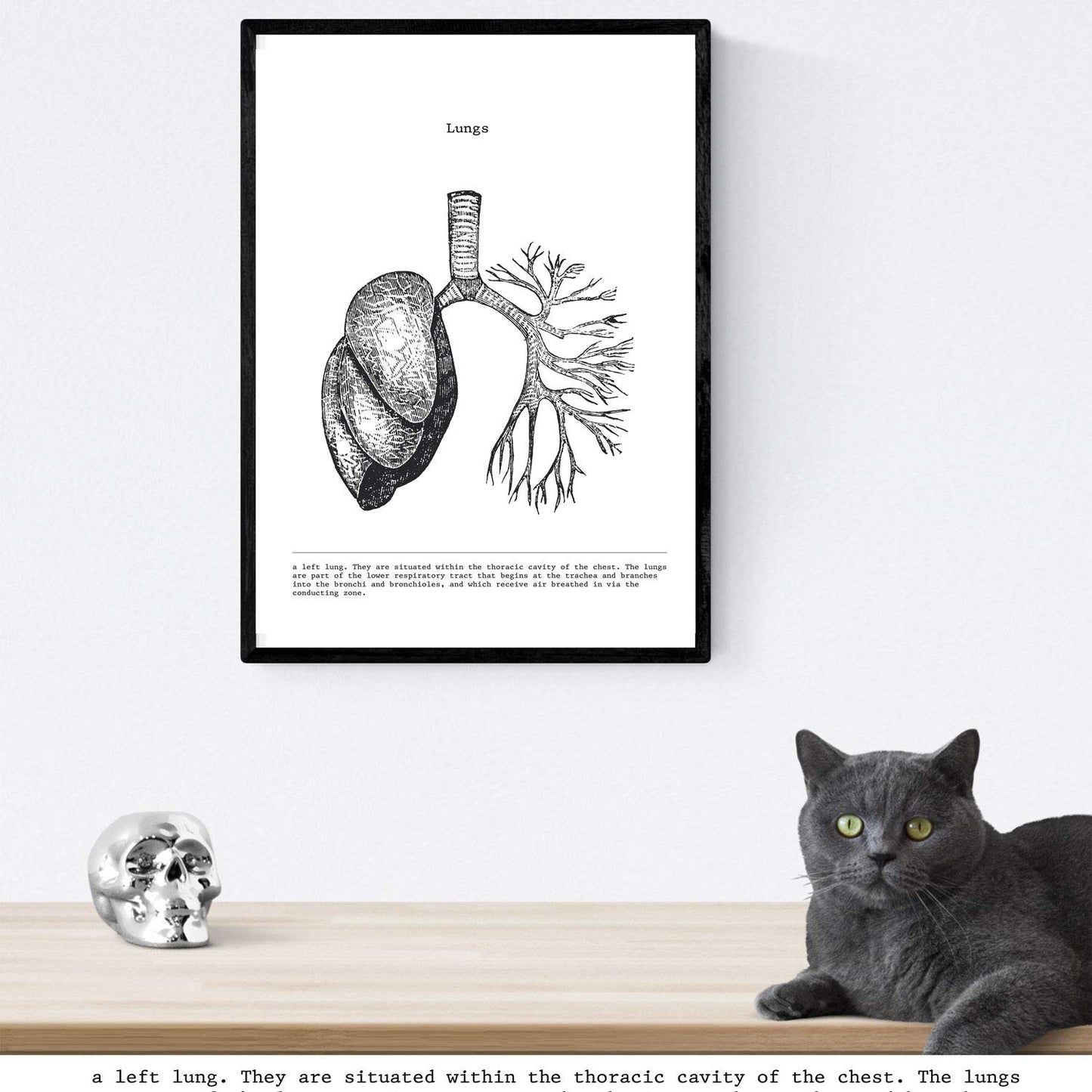 Set de 3 posters de anatomía en blanco y negro con imágenes del cuerpo humano. Pack de láminas sobre biología y medici con "Corazón, Cerebro y Pulmones". .-Artwork-Nacnic-Nacnic Estudio SL