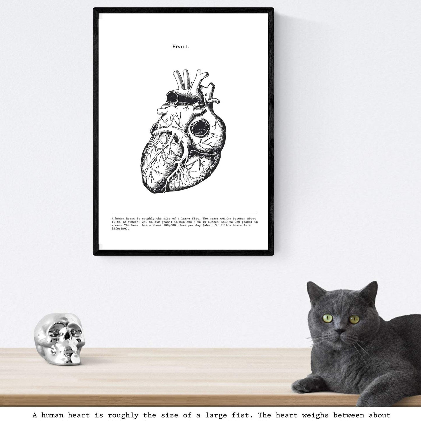 Set de 3 posters de anatomía en blanco y negro con imágenes del cuerpo humano. Pack de láminas sobre biología y medici con "Corazón, Cerebro y Pulmones". .-Artwork-Nacnic-Nacnic Estudio SL