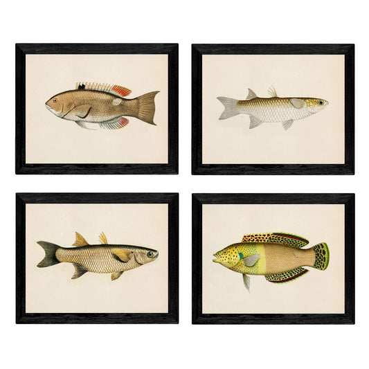 Set de 4 láminas con pez colorido efecto vintage tono amarillo beige. Composicion de 4 peces diferentes en , fondo papel antiguo vintage .-Artwork-Nacnic-Nacnic Estudio SL