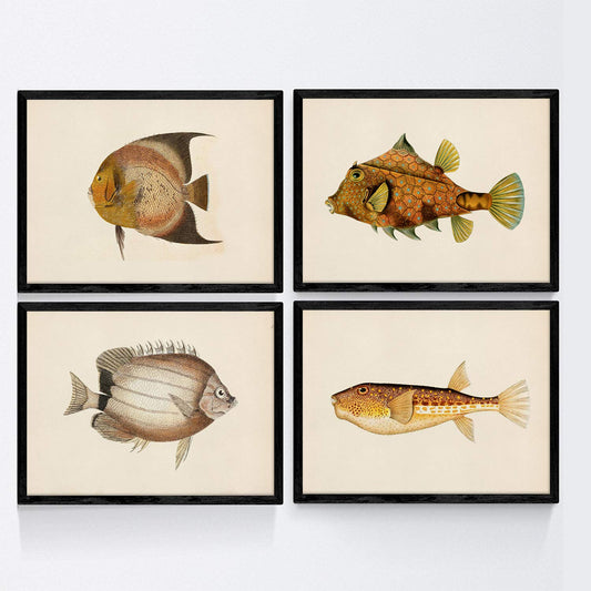 Set de 4 láminas con pez colorido efecto vintage tono amarillo marron. Composicion de 4 peces diferentes, fondo papel antiguo vintage.-Artwork-Nacnic-Nacnic Estudio SL