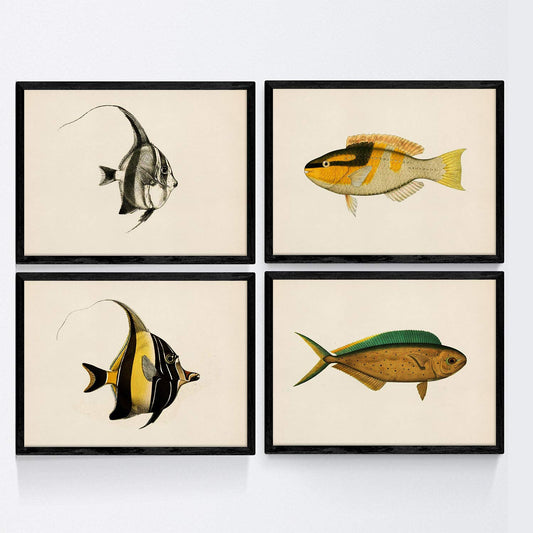 Set de 4 láminas con pez colorido efecto vintage tono amarillo. Composicion de 4 peces diferentes en , fondo papel antiguo vintage .-Artwork-Nacnic-Nacnic Estudio SL