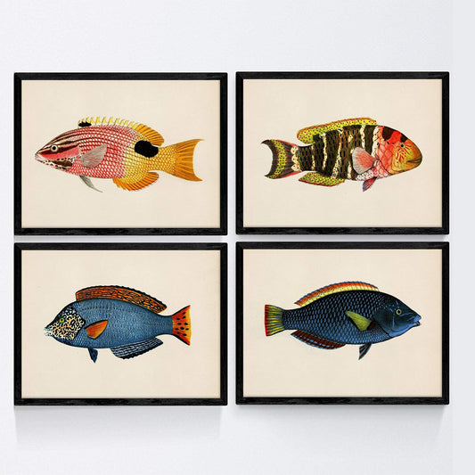 Set de 4 láminas con pez colorido efecto vintage tono azul, amarillo. Composicion de 4 peces diferentes en , fondo papel vintage.-Artwork-Nacnic-Nacnic Estudio SL
