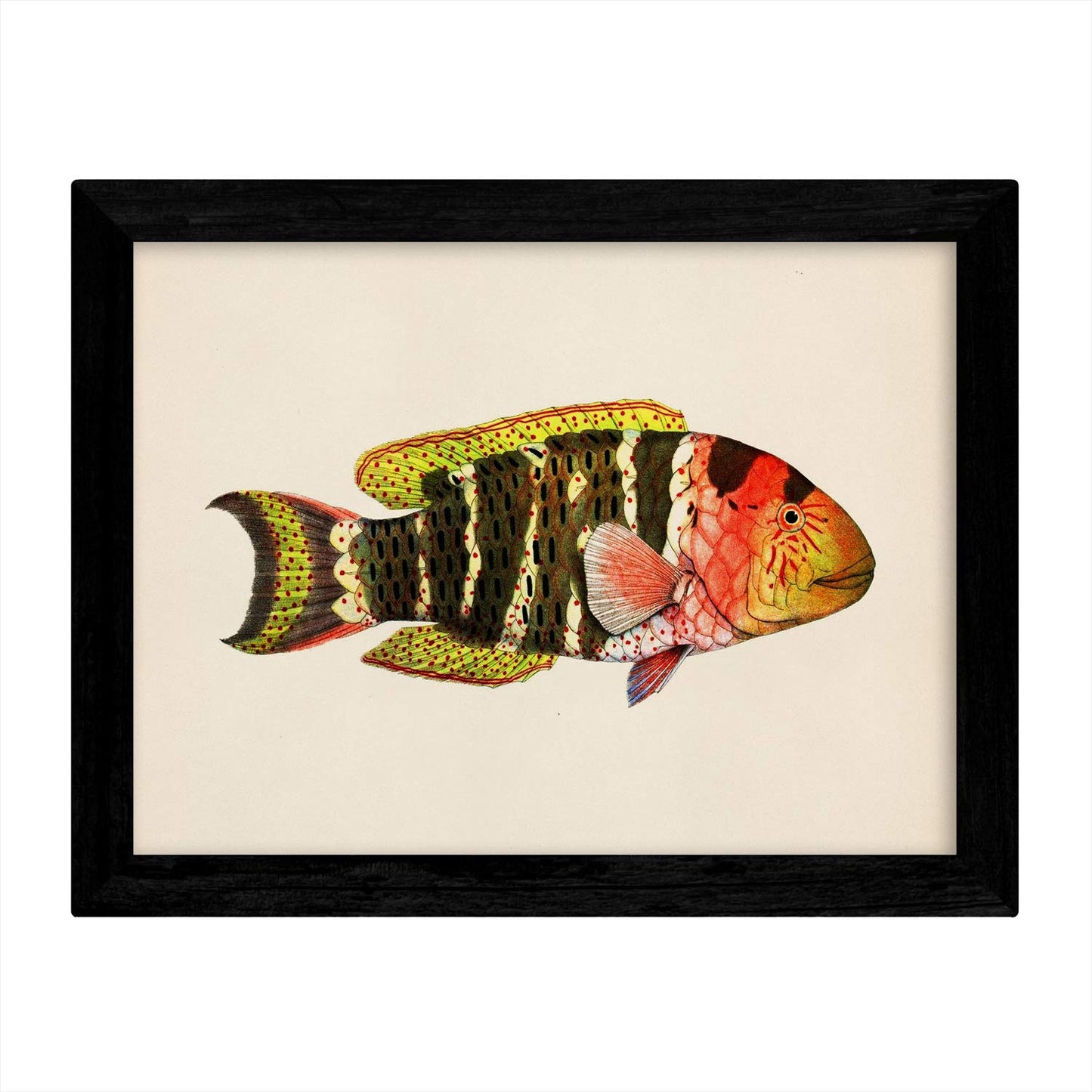 Set de 4 láminas con pez colorido efecto vintage tono azul rojo verde. Composicion de 4 peces diferentes, fondo papel antiguo vintage.-Artwork-Nacnic-Nacnic Estudio SL
