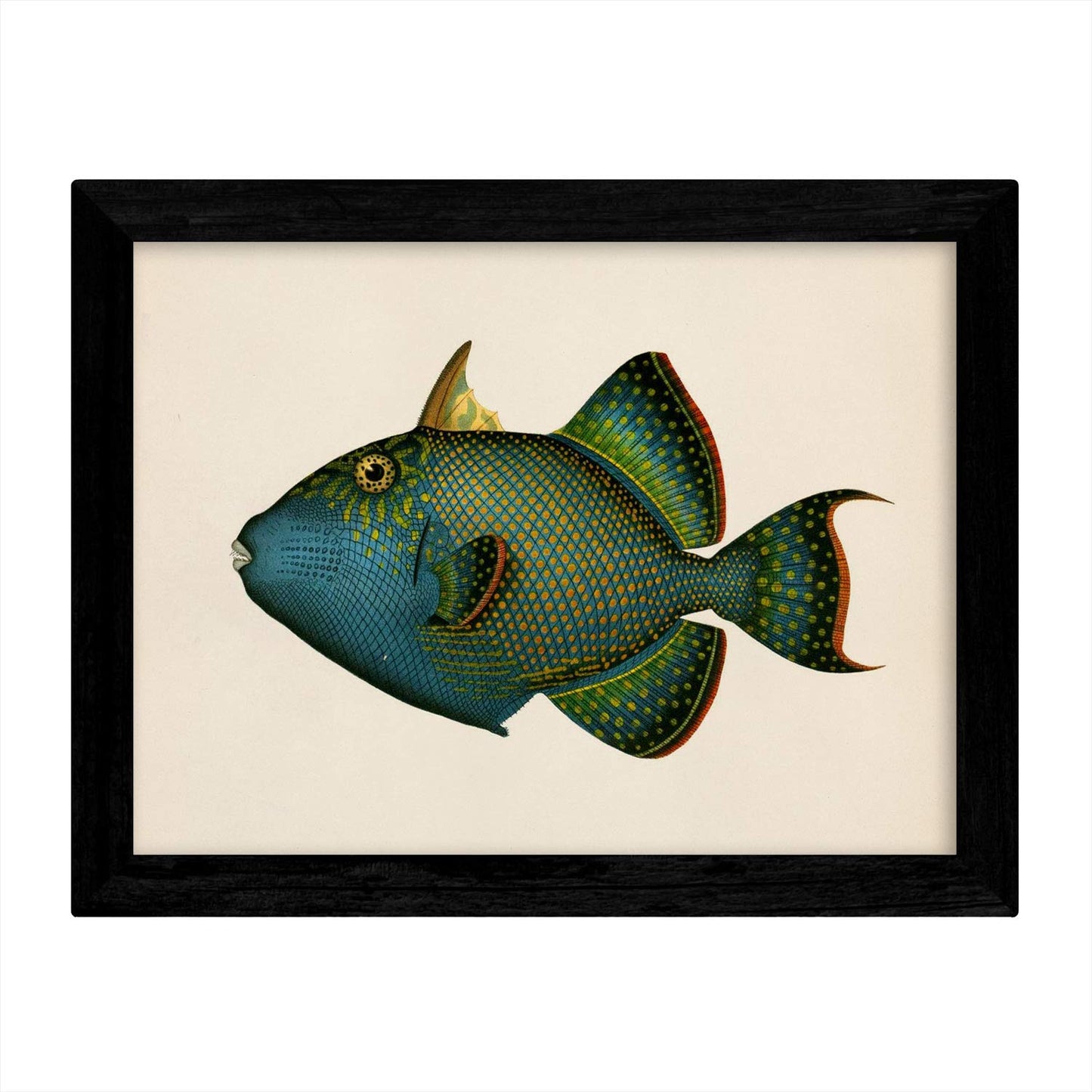 Set de 4 láminas con pez colorido efecto vintage tono azul verde. Composicion de 4 peces diferentes, fondo papel antiguo vintage.-Artwork-Nacnic-Nacnic Estudio SL