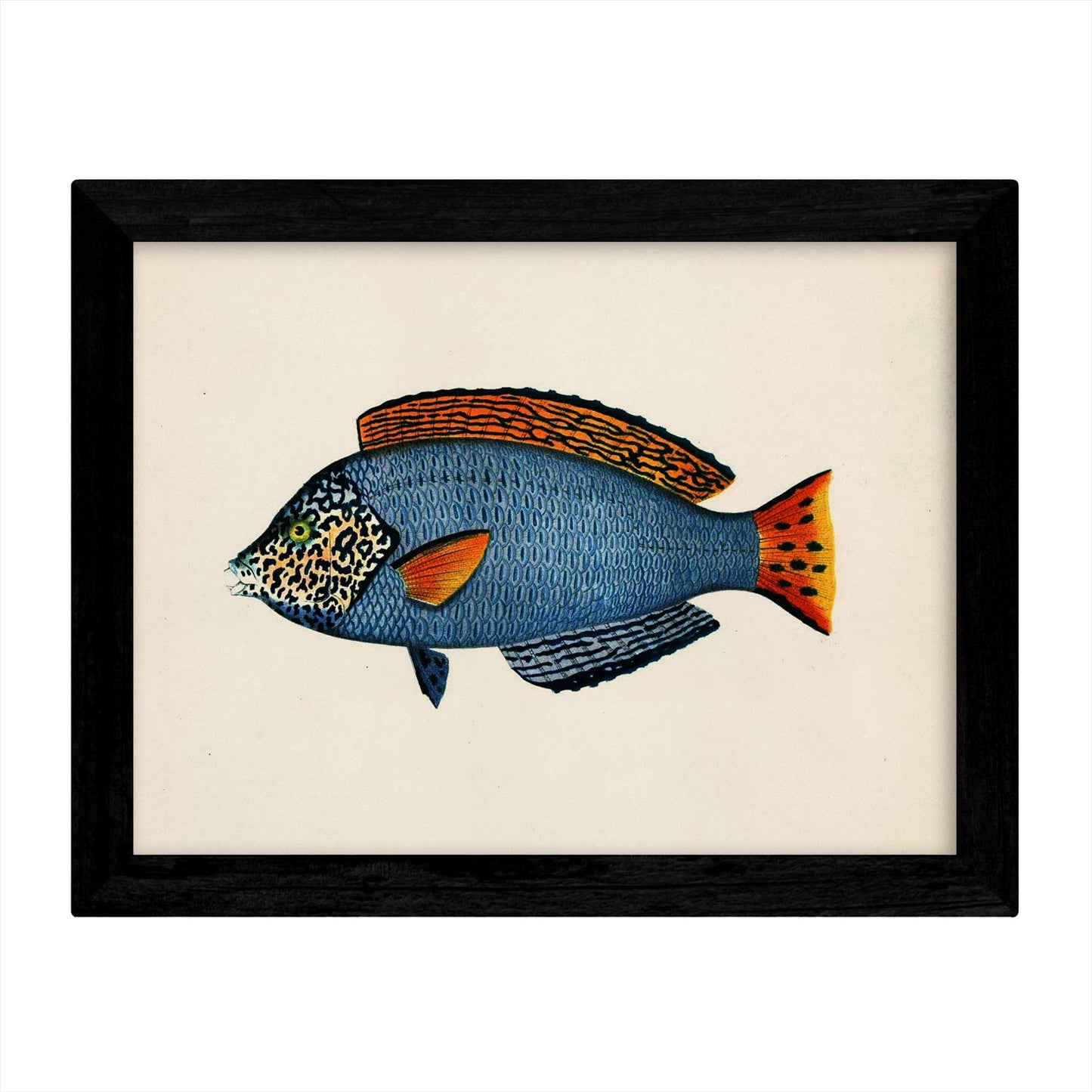 Set de 4 láminas con pez colorido efecto vintage tono azul verde. Composicion de 4 peces diferentes, fondo papel antiguo vintage.-Artwork-Nacnic-Nacnic Estudio SL