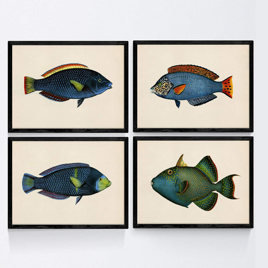 Set de 4 láminas con pez colorido efecto vintage tono azul verde. Composicion de 4 peces diferentes, fondo papel antiguo vintage.-Artwork-Nacnic-Nacnic Estudio SL