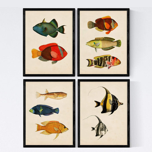 Set de 4 láminas de peces coloridos efecto vintage. Baleares. Composicion de 10 peces diferentes, fondo papel antiguo vintage. .-Artwork-Nacnic-Nacnic Estudio SL