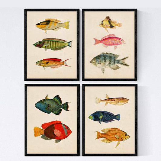 Set de 4 láminas de peces coloridos efecto vintage. Composicion de 11 peces diferentes, fondo papel antiguo vintage-Artwork-Nacnic-Nacnic Estudio SL
