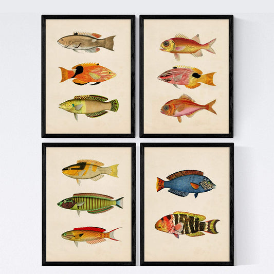 Set de 4 láminas de peces coloridos efecto vintage. Composicion de 11 peces diferentes, fondo papel antiguo vintage-Artwork-Nacnic-Nacnic Estudio SL