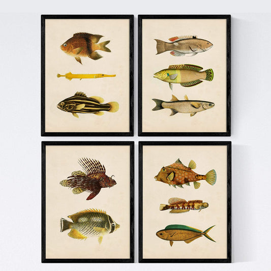 Set de 4 láminas de peces coloridos efecto vintage. Composicion de 11 peces diferentes, fondo papel antiguo vintage.-Artwork-Nacnic-Nacnic Estudio SL