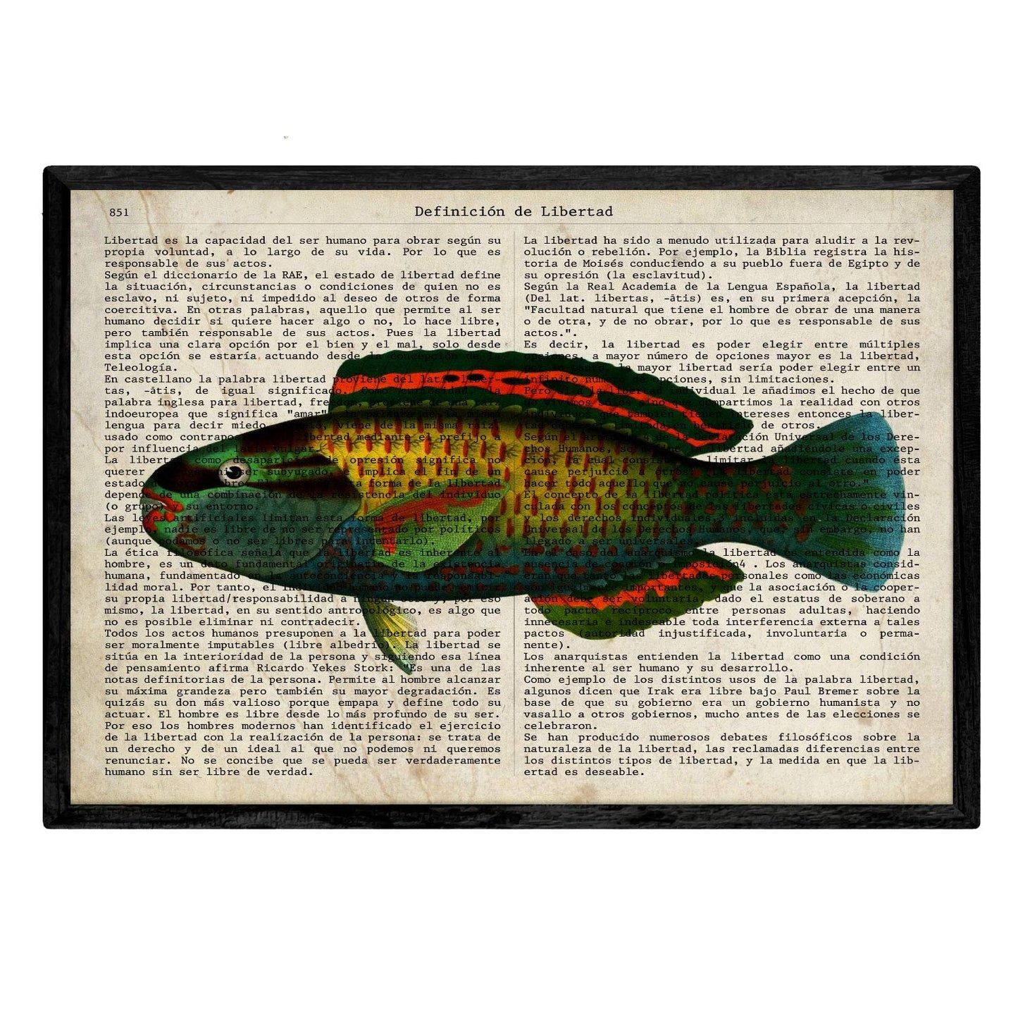 Set de 4 láminas de Peces con definiciones.-Artwork-Nacnic-Nacnic Estudio SL