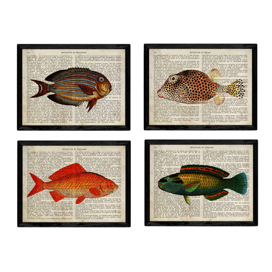 Set de 4 láminas de Peces con definiciones.-Artwork-Nacnic-Nacnic Estudio SL