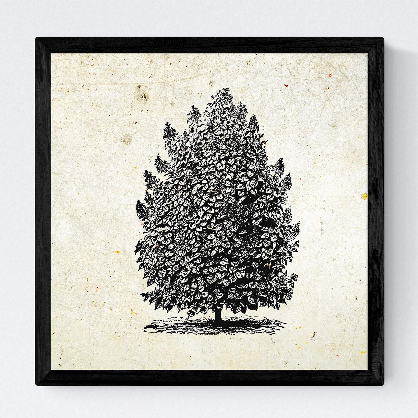 Set de cuatro láminas de arboles. Arboles altos en cm, fondo papel antiguo vintage .-Artwork-Nacnic-Nacnic Estudio SL