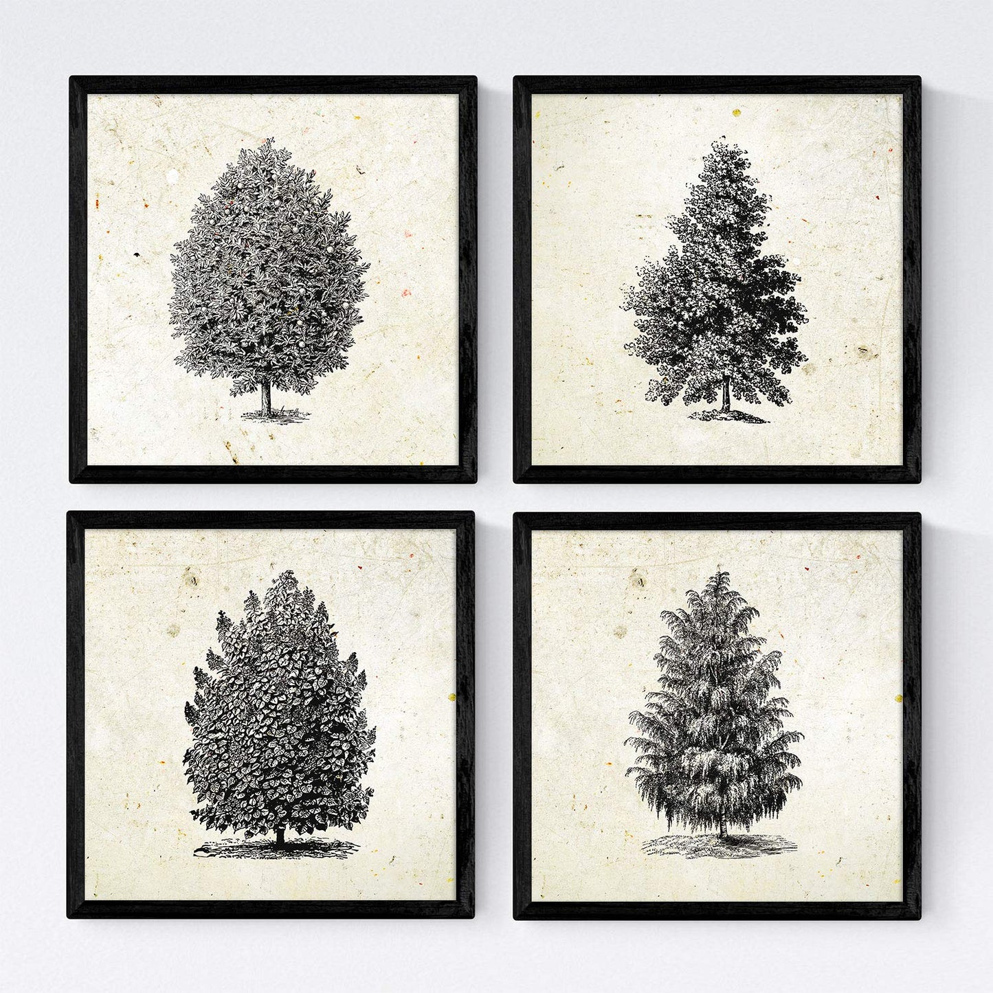 Set de cuatro láminas de arboles. Arboles altos en cm, fondo papel antiguo vintage .-Artwork-Nacnic-Nacnic Estudio SL