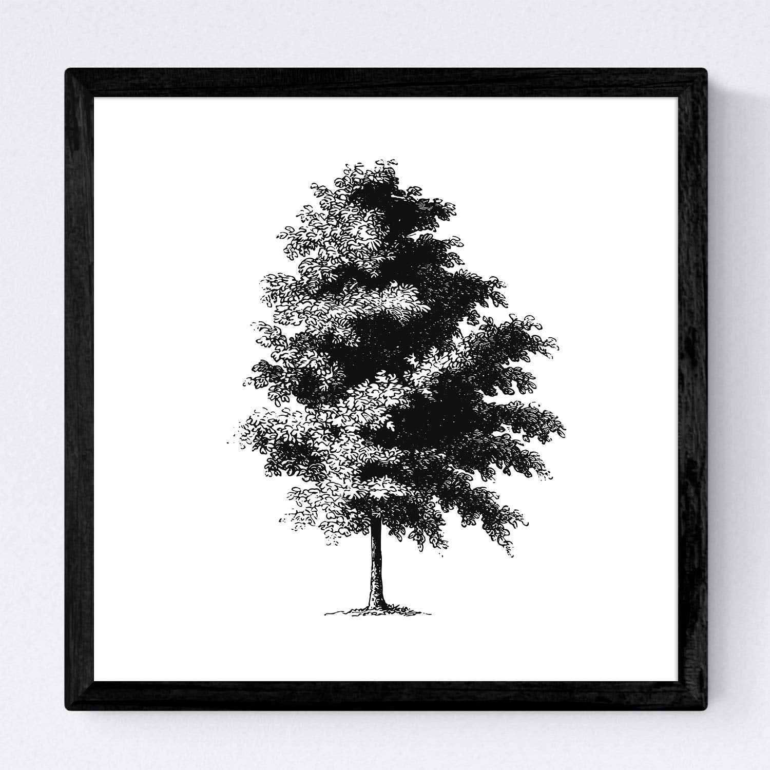 Set de cuatro láminas de arboles. Arboles corteza fina en cm, fondo blanco .-Artwork-Nacnic-Nacnic Estudio SL