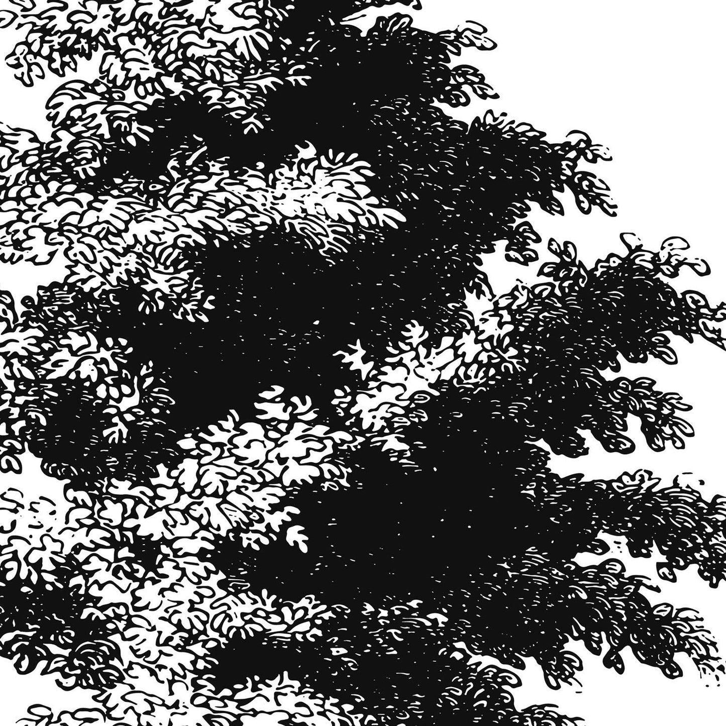 Set de cuatro láminas de arboles. Arboles corteza fina en cm, fondo blanco .-Artwork-Nacnic-Nacnic Estudio SL