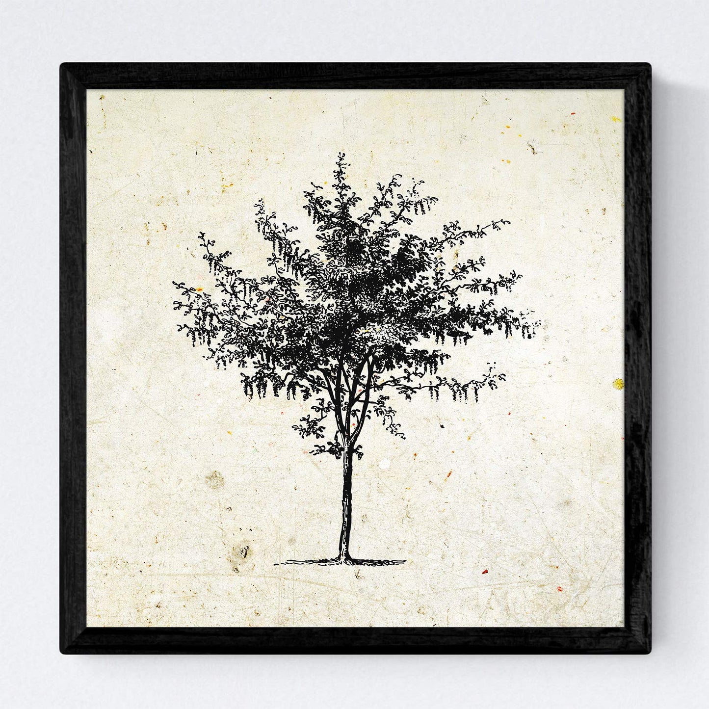 Set de cuatro láminas de arboles. Arboles del mundo en cm, fondo papel antiguo vintage .-Artwork-Nacnic-Nacnic Estudio SL