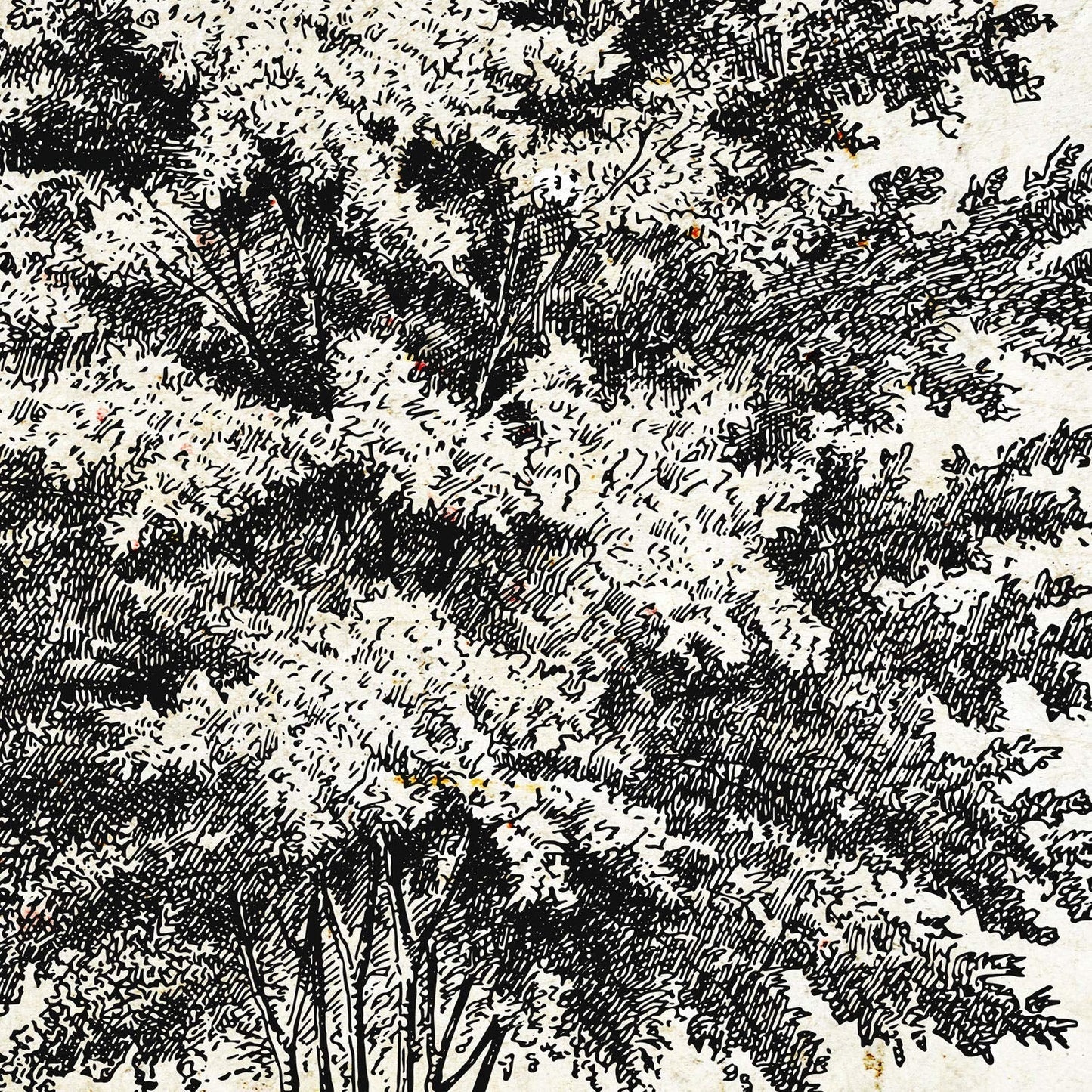Set de cuatro láminas de arboles. Arboles del mundo en cm, fondo papel antiguo vintage .-Artwork-Nacnic-Nacnic Estudio SL