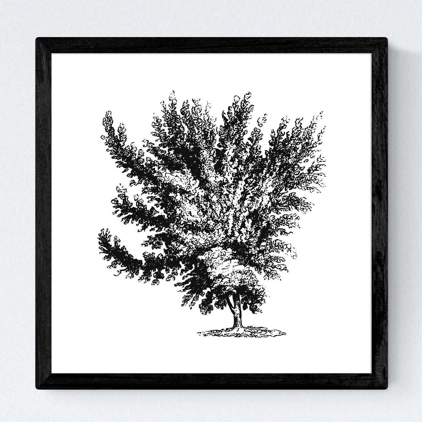 Set de cuatro láminas de arboles. Arboles diferentes direcciones en cm, fondo blanco.-Artwork-Nacnic-Nacnic Estudio SL