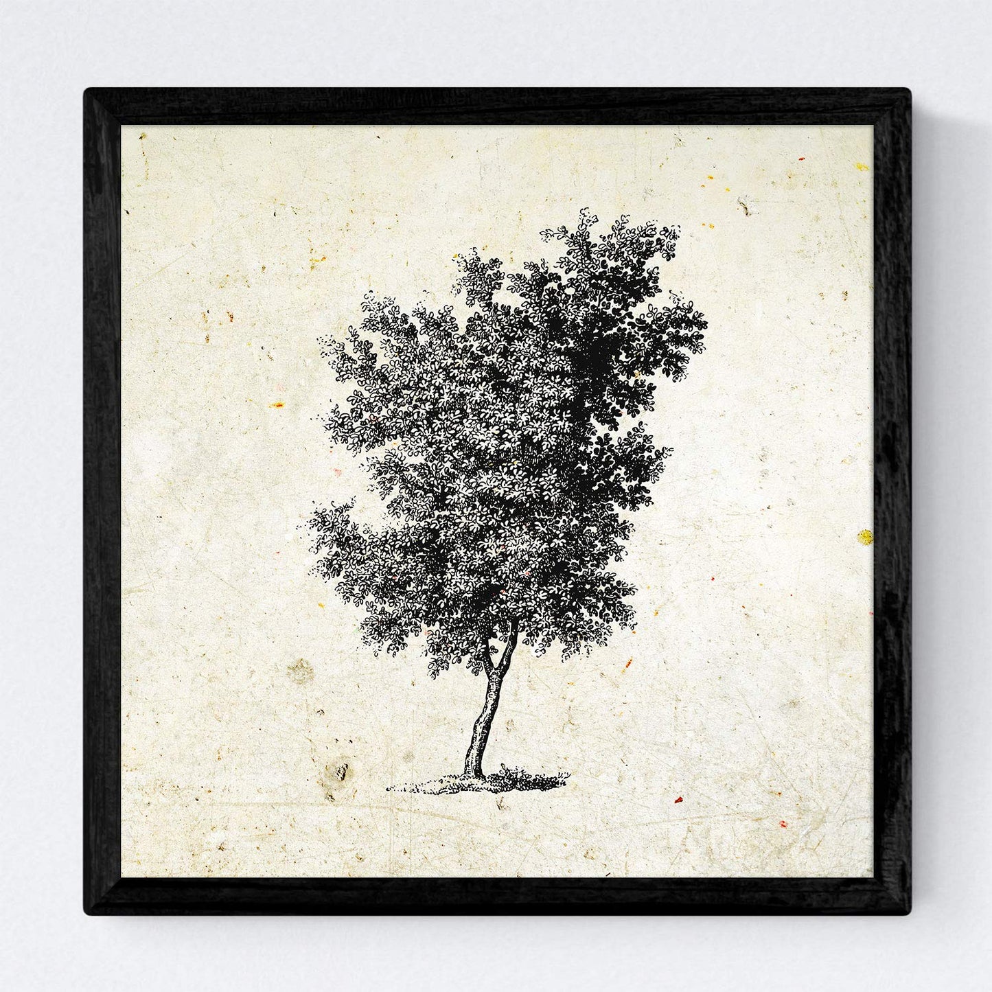 Set de cuatro láminas de arboles. Arboles diferentes direcciones en cm, fondo papel antiguo vintage.-Artwork-Nacnic-Nacnic Estudio SL
