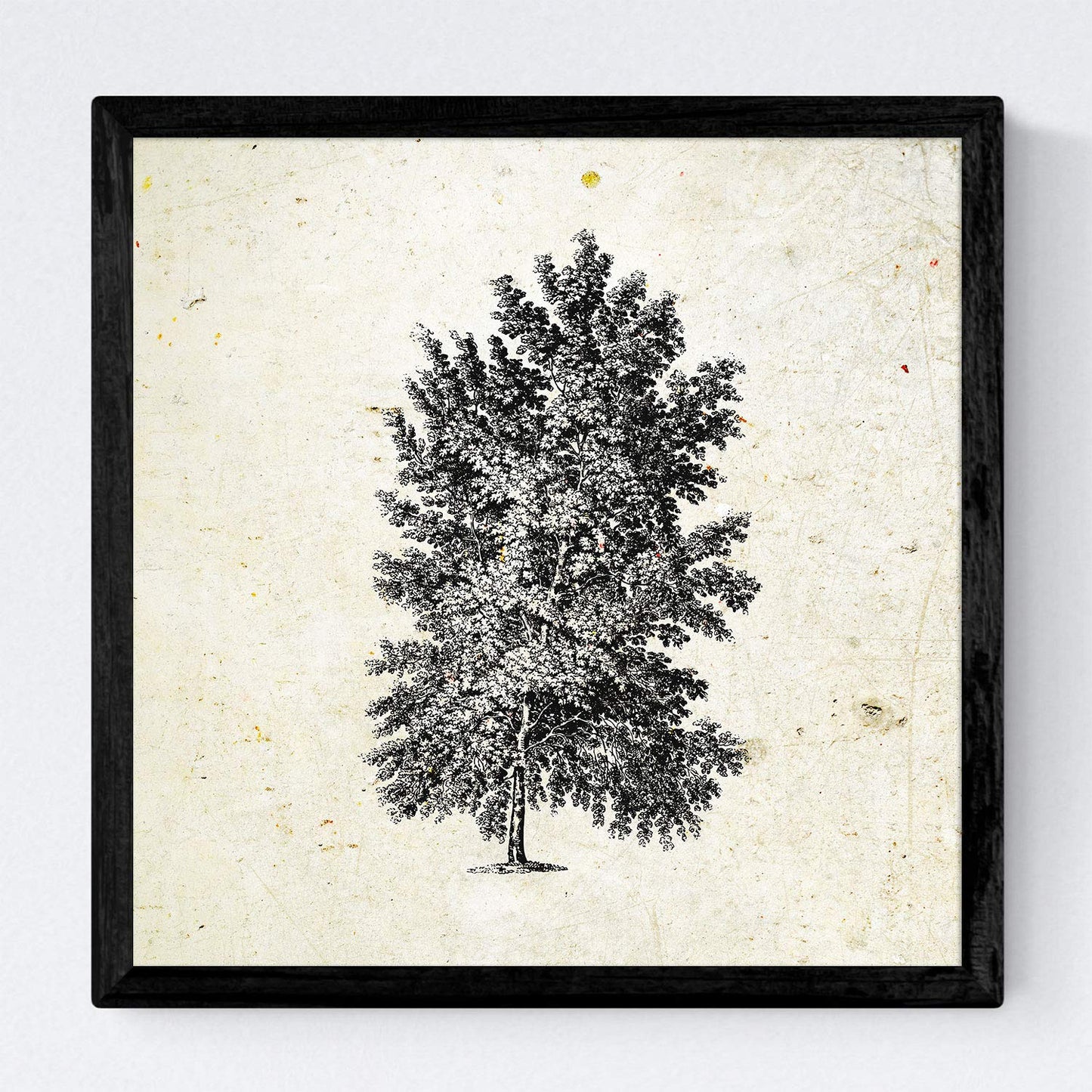 Set de cuatro láminas de arboles. Arboles diferentes direcciones en cm, fondo papel antiguo vintage.-Artwork-Nacnic-Nacnic Estudio SL
