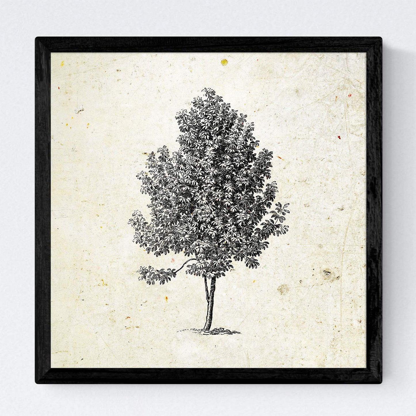 Set de cuatro láminas de arboles. Arboles diferentes direcciones en cm, fondo papel antiguo vintage.-Artwork-Nacnic-Nacnic Estudio SL