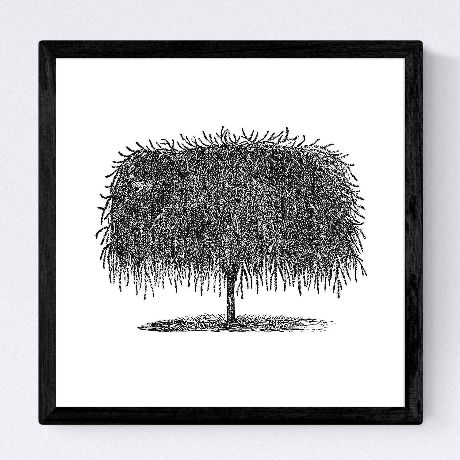 Set de cuatro láminas de arboles. Arboles diferentes en cm, fondo blanco .-Artwork-Nacnic-Nacnic Estudio SL