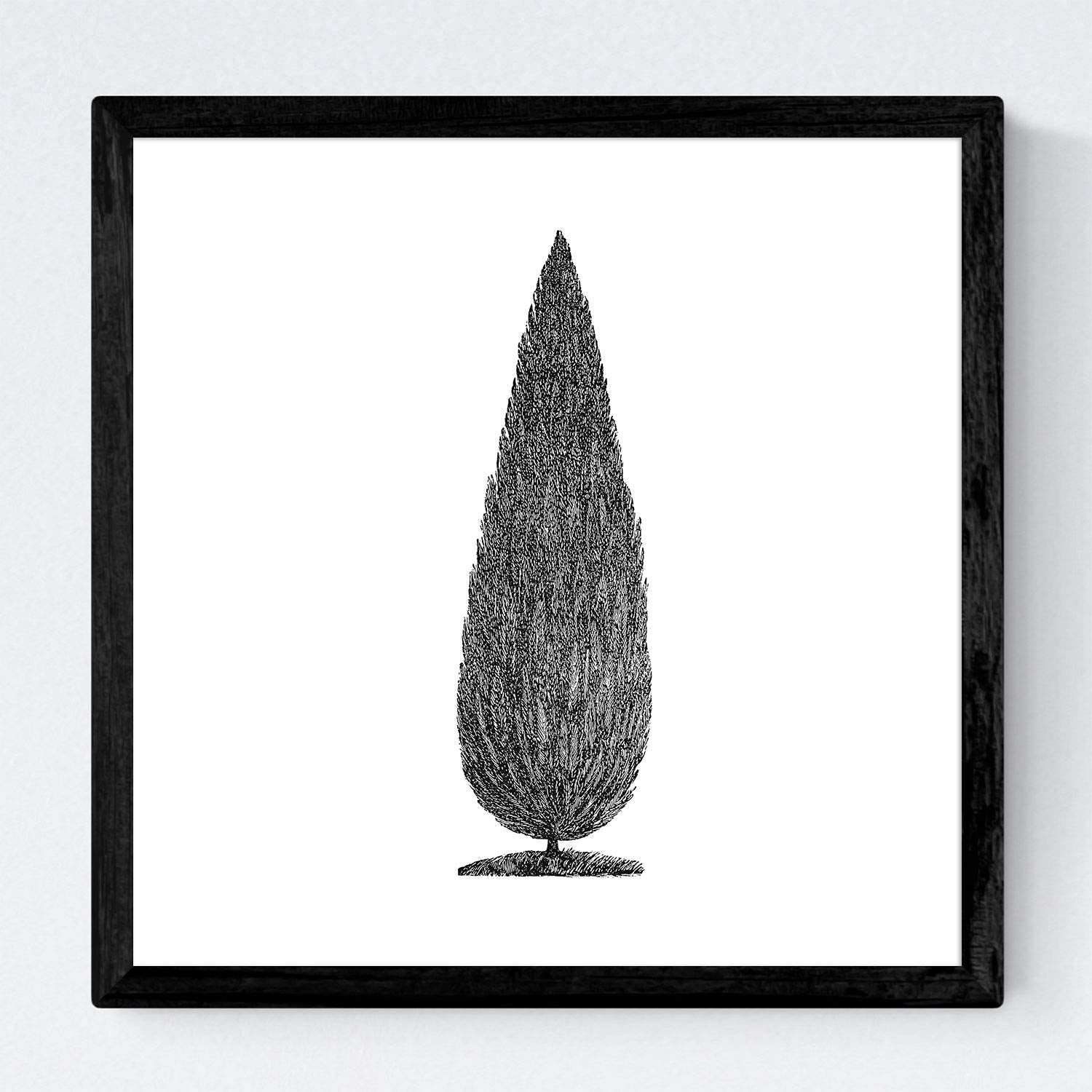 Set de cuatro láminas de arboles. Arboles diferentes en cm, fondo blanco .-Artwork-Nacnic-Nacnic Estudio SL