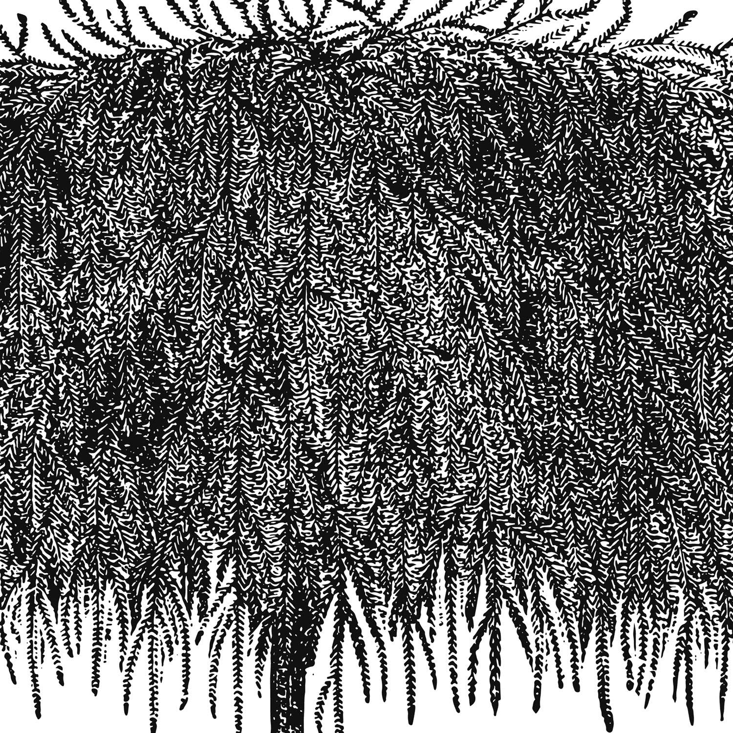 Set de cuatro láminas de arboles. Arboles diferentes en cm, fondo blanco .-Artwork-Nacnic-Nacnic Estudio SL