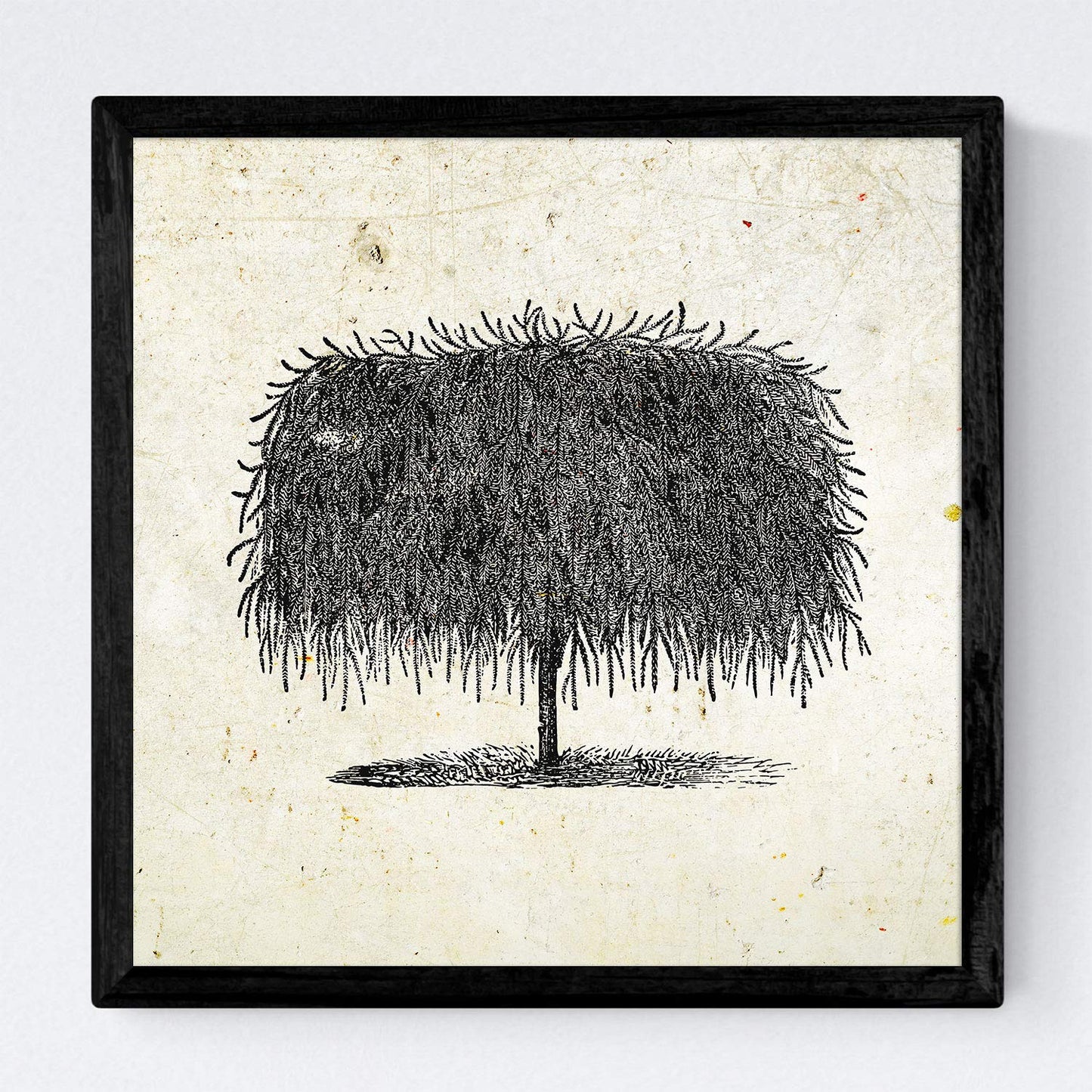Set de cuatro láminas de arboles. Arboles diferentes en cm, fondo papel antiguo vintage.-Artwork-Nacnic-Nacnic Estudio SL
