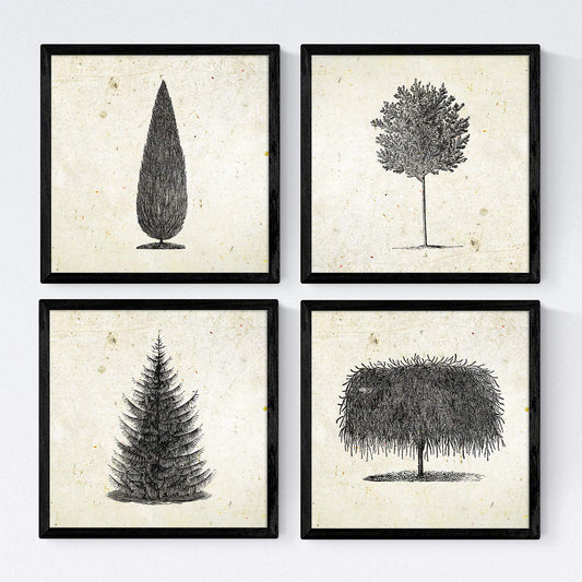 Set de cuatro láminas de arboles. Arboles diferentes en cm, fondo papel antiguo vintage.-Artwork-Nacnic-Nacnic Estudio SL