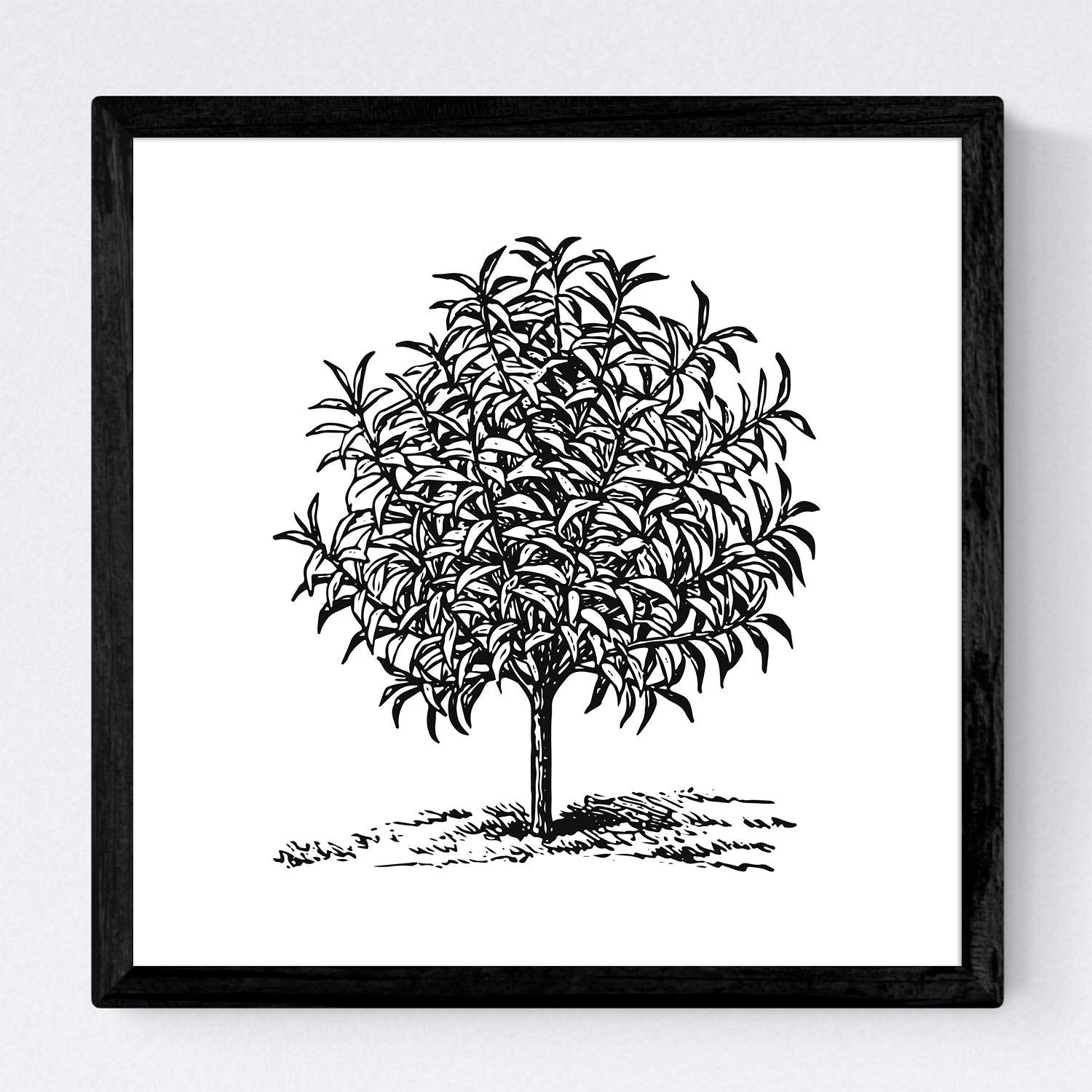 Set de cuatro láminas de arboles. Arboles frutales en cm, fondo blanco.-Artwork-Nacnic-Nacnic Estudio SL