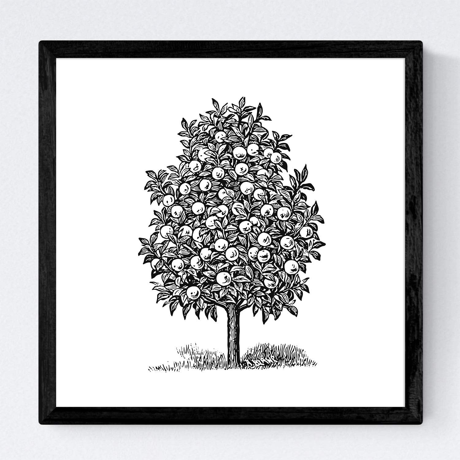 Set de cuatro láminas de arboles. Arboles frutales en cm, fondo blanco.-Artwork-Nacnic-Nacnic Estudio SL