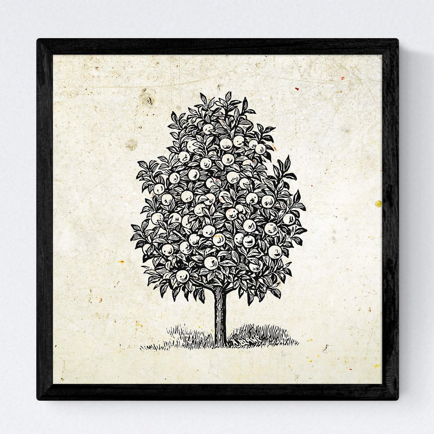 Set de cuatro láminas de arboles. Arboles frutales en cm, fondo papel antiguo vintage .-Artwork-Nacnic-Nacnic Estudio SL