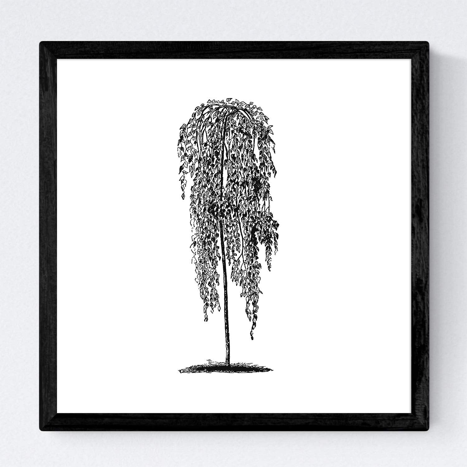 Set de cuatro láminas de arboles. Arboles hojas diferentes en cm, fondo blanco.-Artwork-Nacnic-Nacnic Estudio SL