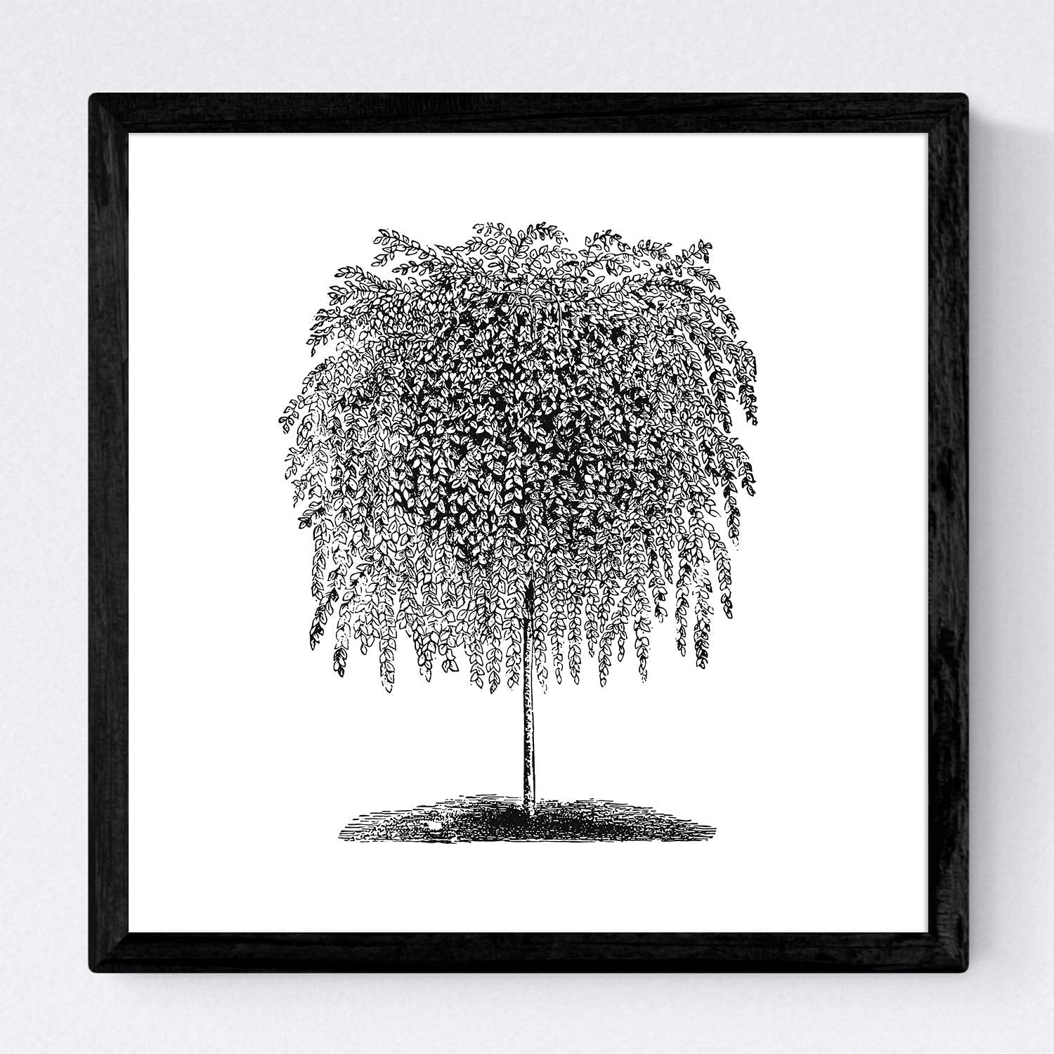 Set de cuatro láminas de arboles. Arboles hojas diferentes en cm, fondo blanco.-Artwork-Nacnic-Nacnic Estudio SL