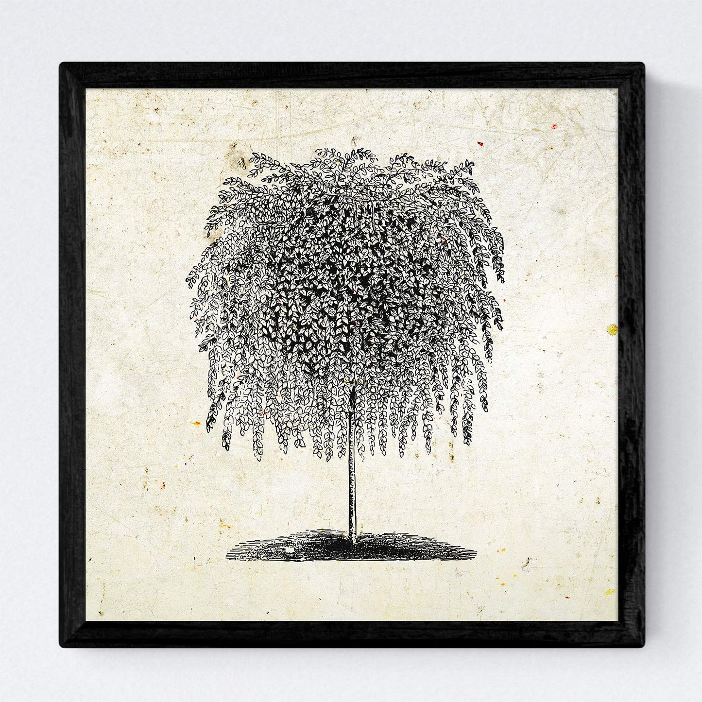 Set de cuatro láminas de arboles. Arboles hojas diferentes en cm, fondo papel antiguo vintage .-Artwork-Nacnic-Nacnic Estudio SL