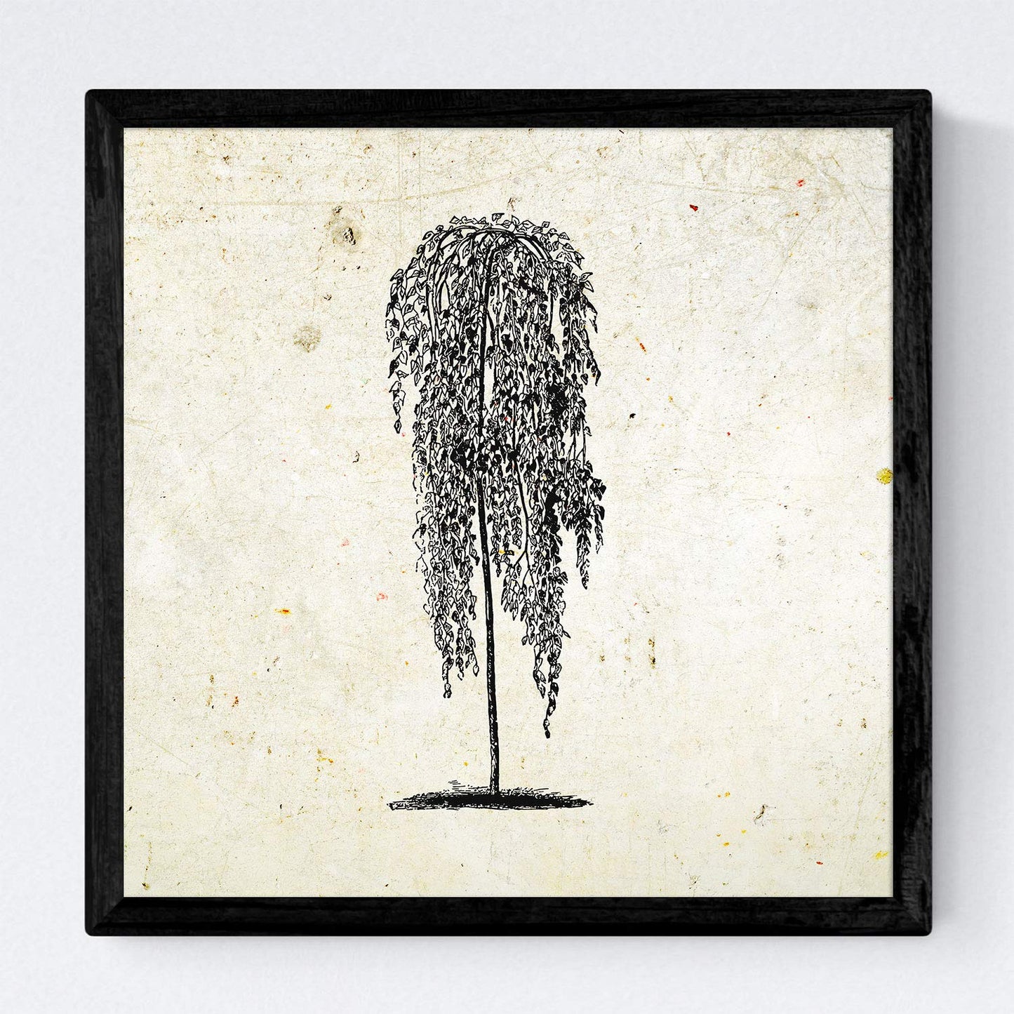 Set de cuatro láminas de arboles. Arboles hojas diferentes en cm, fondo papel antiguo vintage .-Artwork-Nacnic-Nacnic Estudio SL