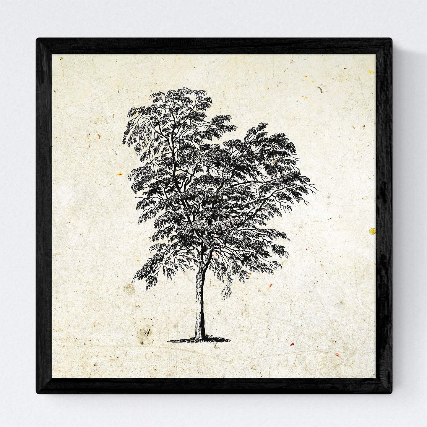 Set de cuatro láminas de arboles. Arboles hojas diferentes en cm, fondo papel antiguo vintage .-Artwork-Nacnic-Nacnic Estudio SL