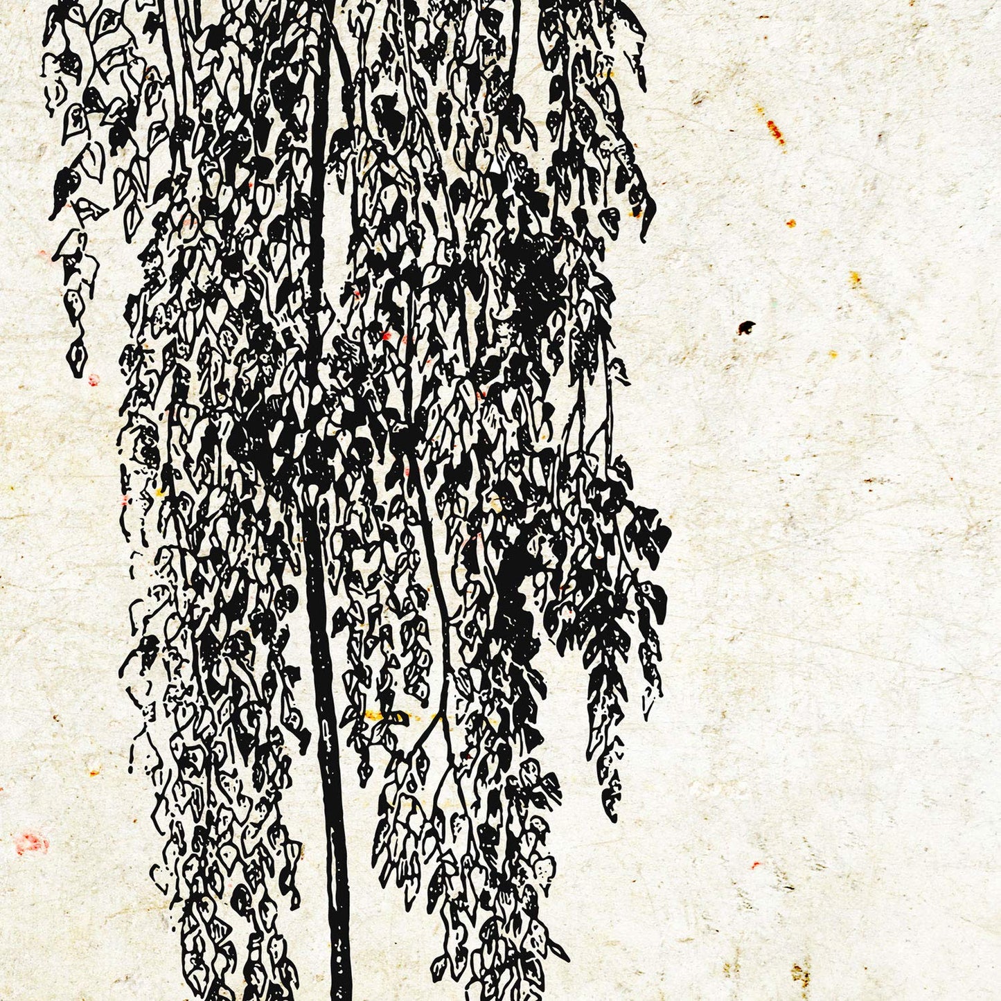 Set de cuatro láminas de arboles. Arboles hojas diferentes en cm, fondo papel antiguo vintage .-Artwork-Nacnic-Nacnic Estudio SL