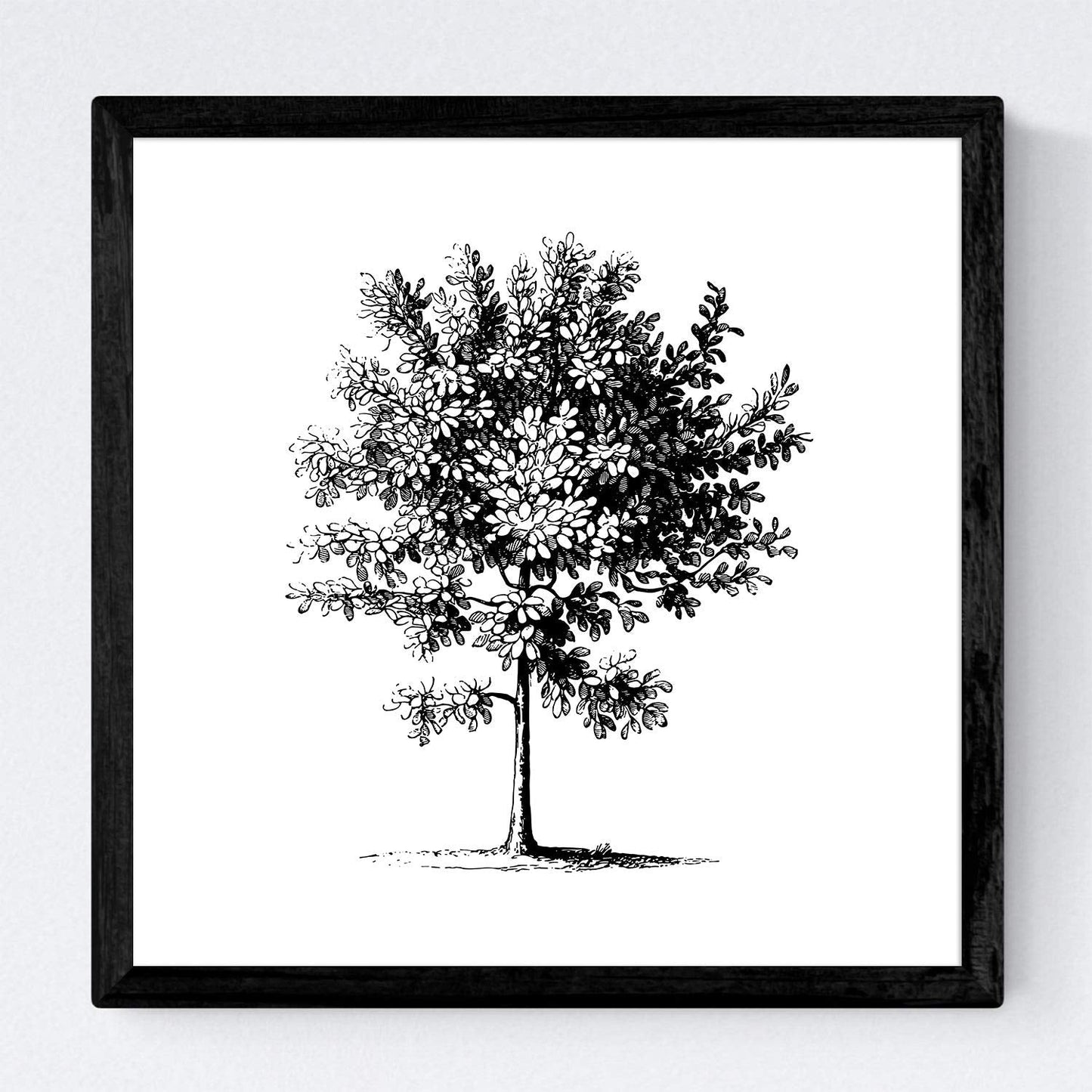 Set de cuatro láminas de arboles. Arboles medianos en cm, fondo blanco .-Artwork-Nacnic-Nacnic Estudio SL