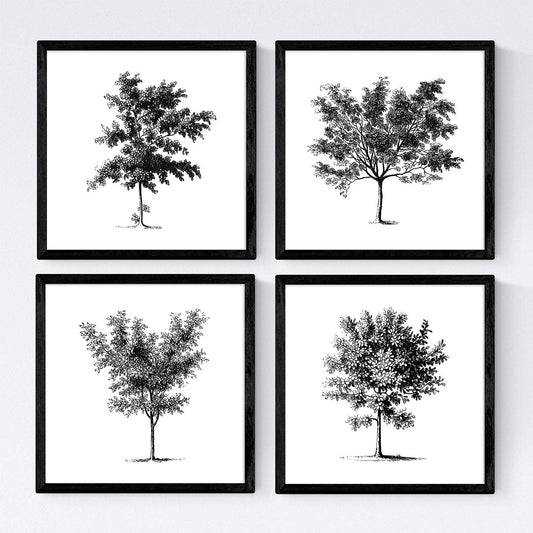 Set de cuatro láminas de arboles. Arboles medianos en cm, fondo blanco .-Artwork-Nacnic-Nacnic Estudio SL