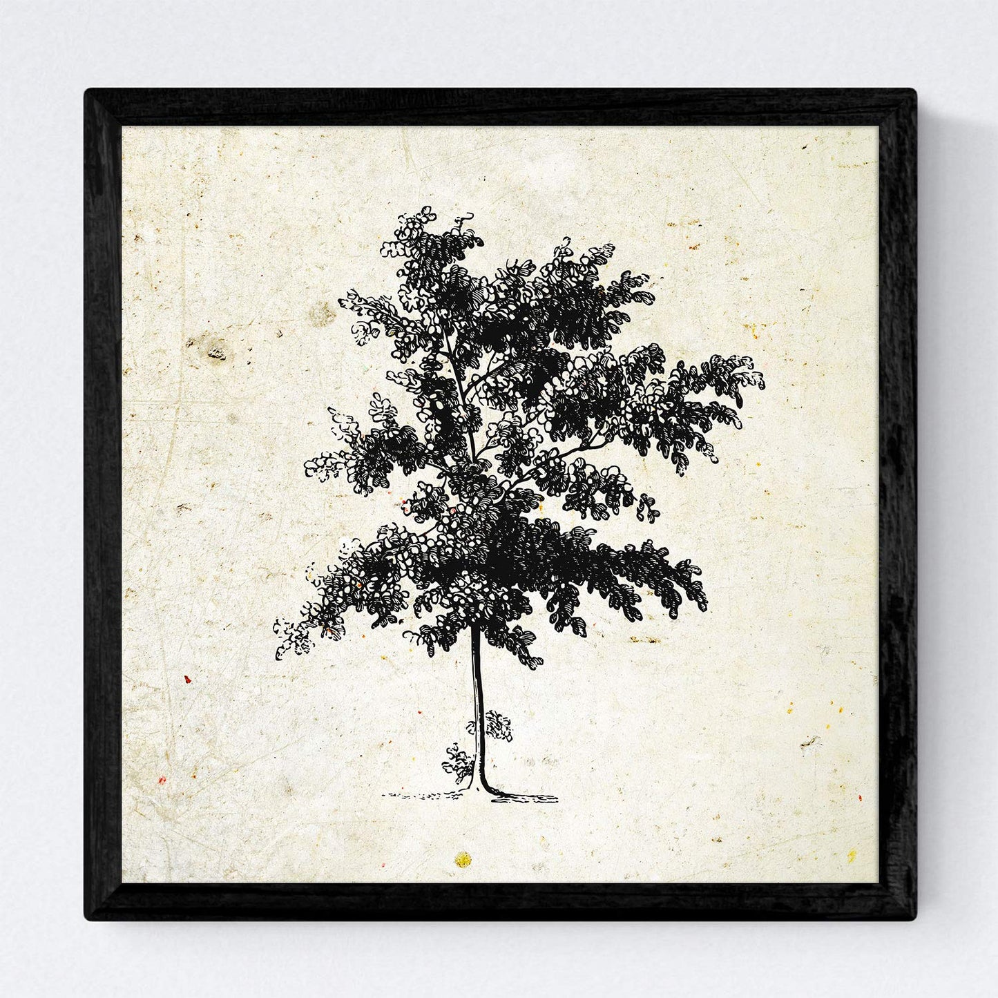 Set de cuatro láminas de arboles. Arboles medianos en cm, fondo papel antiguo vintage.-Artwork-Nacnic-Nacnic Estudio SL