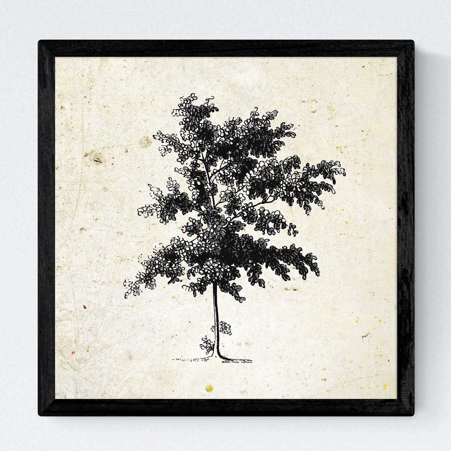 Set de cuatro láminas de arboles. Arboles medianos en cm, fondo papel antiguo vintage.-Artwork-Nacnic-Nacnic Estudio SL
