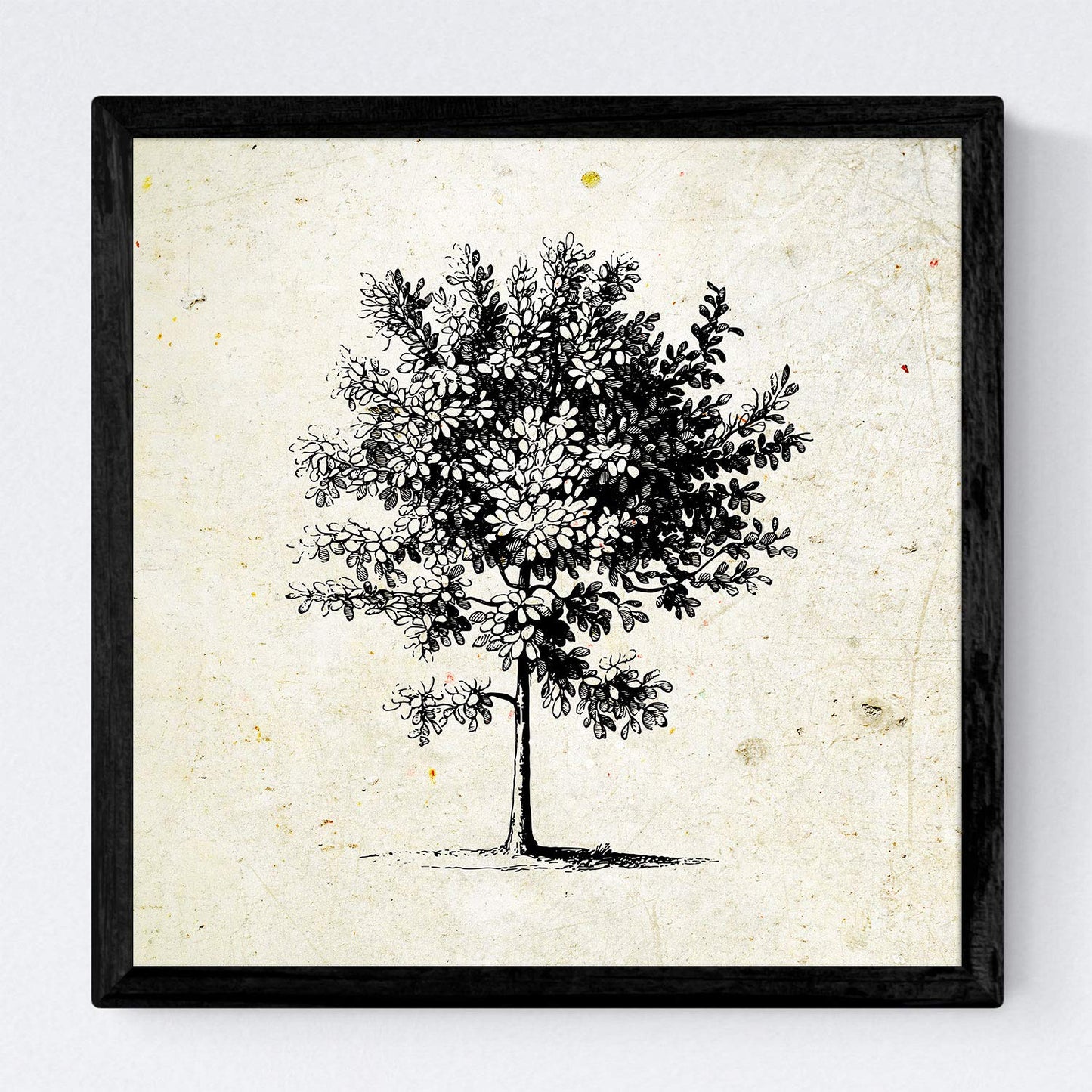 Set de cuatro láminas de arboles. Arboles medianos en cm, fondo papel antiguo vintage.-Artwork-Nacnic-Nacnic Estudio SL